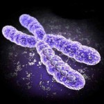 Purple Chromosome